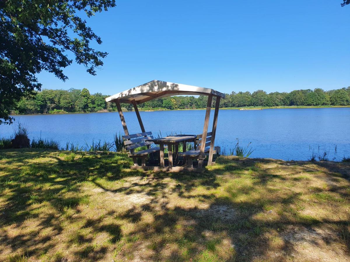 Domaine Du Rothay Villa Lassay-sur-Croisne Екстериор снимка
